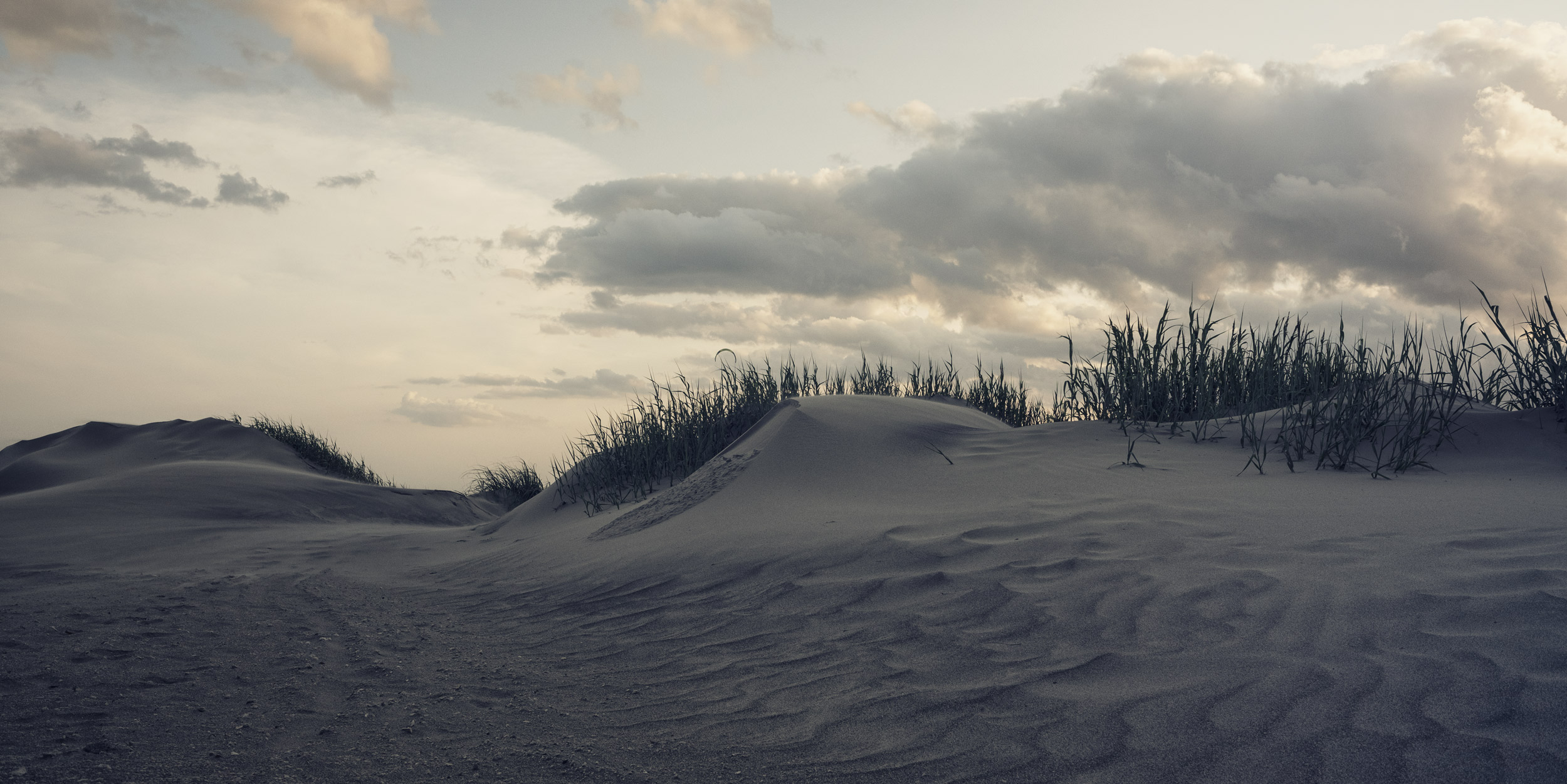 Folley_Beach_01