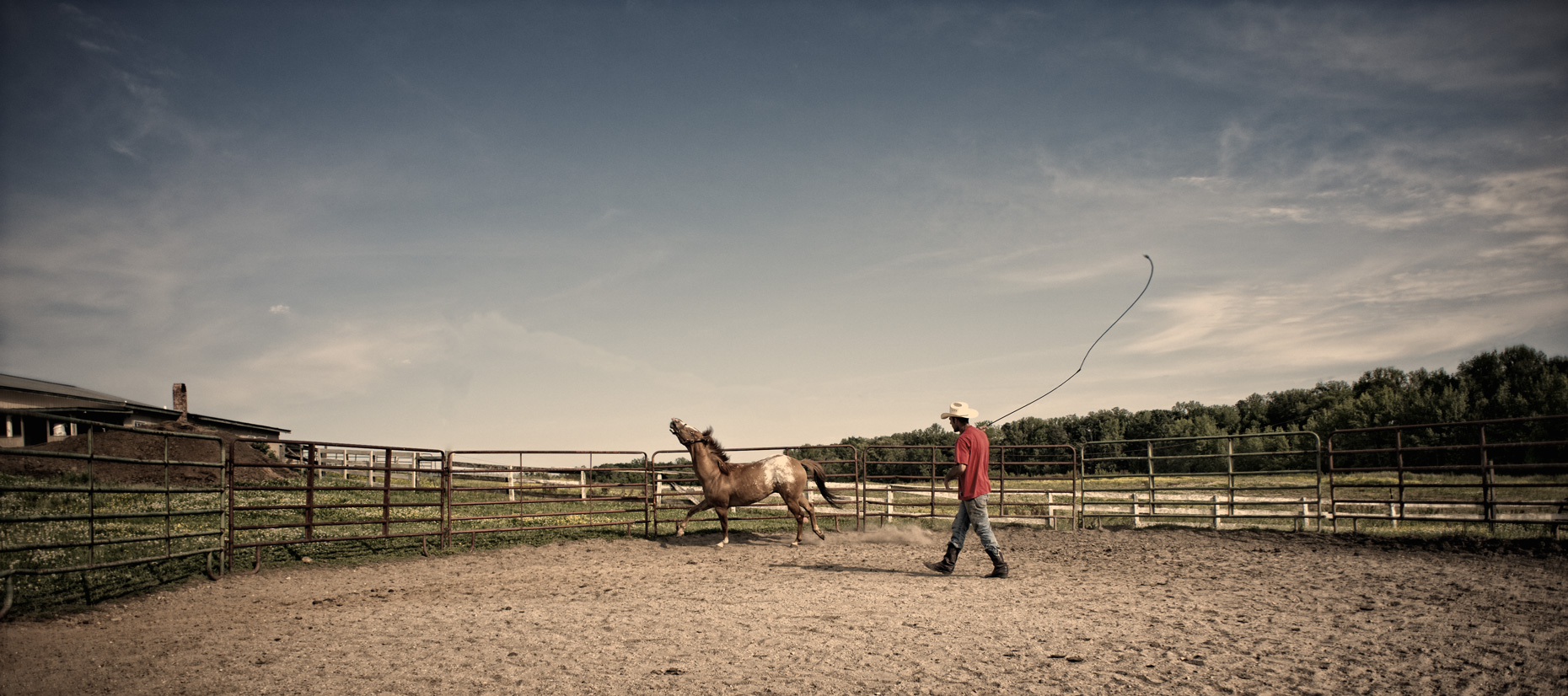Horse_Training